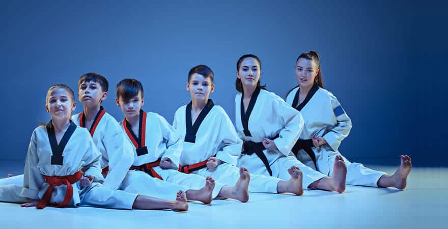 Martial Arts Lessons for Kids in Clinton Township MI - Kids Group Splits