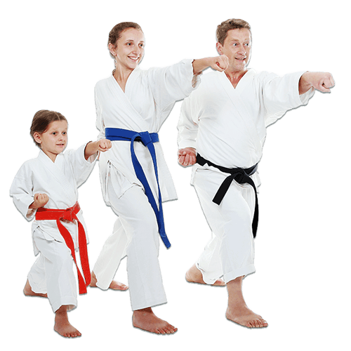 Martial Arts Lessons for Families in Clinton Township MI - Man and Daughters Family Punching Together