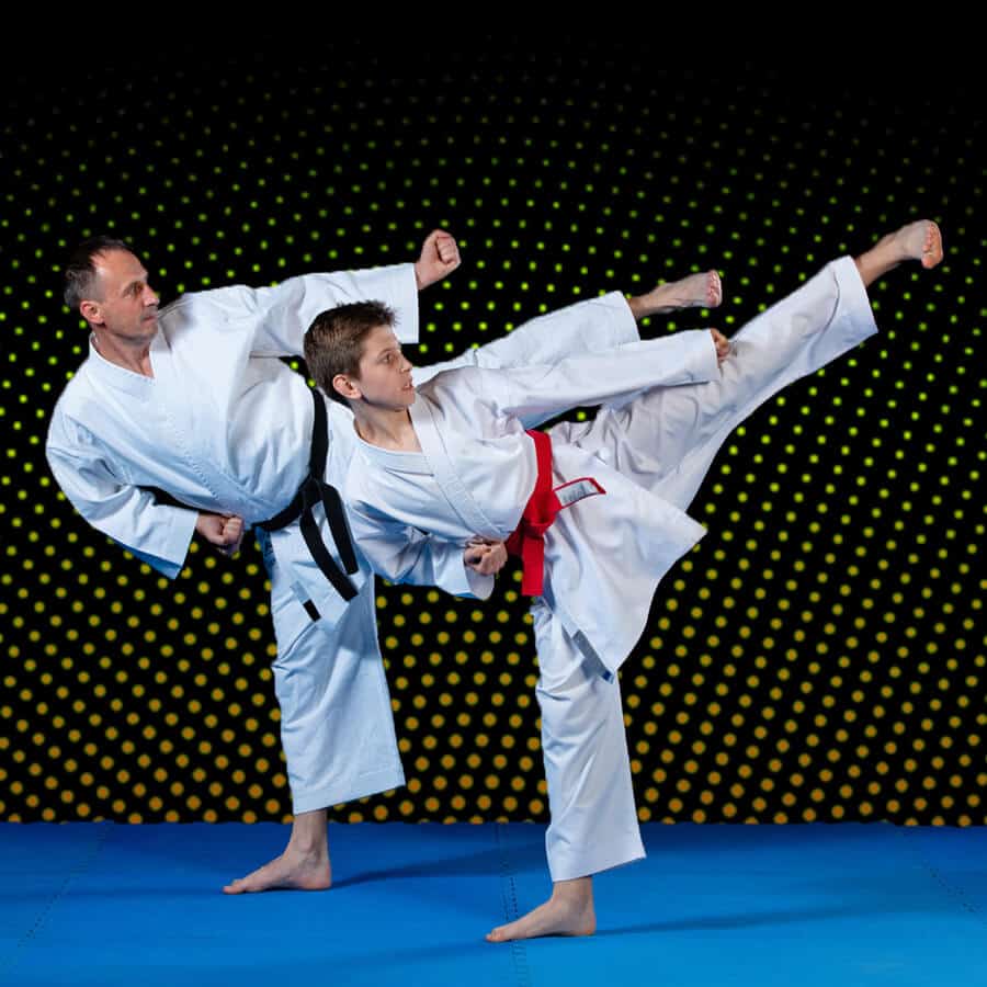 Martial Arts Lessons for Families in Clinton Township MI - Dad and Son High Kick