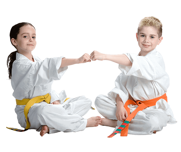 Martial Arts Lessons for Kids in Clinton Township MI - Kids Greeting Happy Footer Banner
