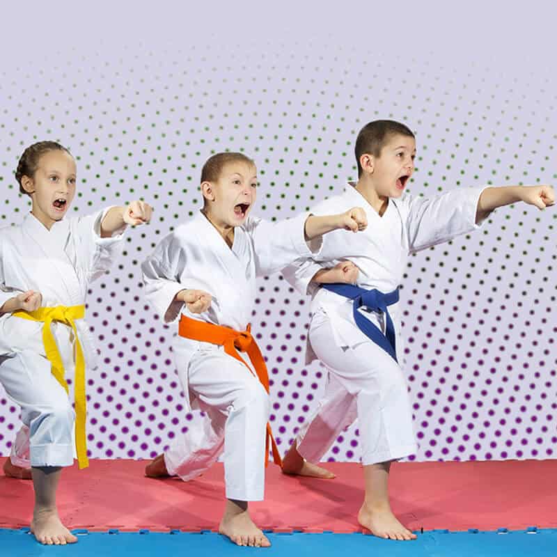 Martial Arts Lessons for Kids in Clinton Township MI - Punching Focus Kids Sync